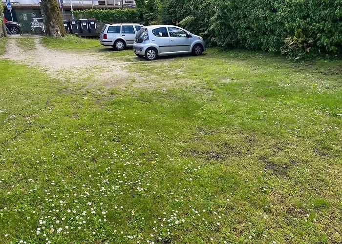 Wonderful * 斯特雷萨