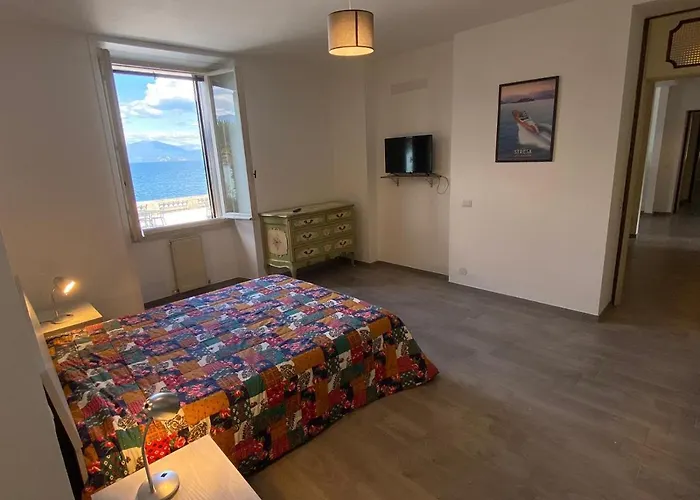 Wonderful 斯特雷萨